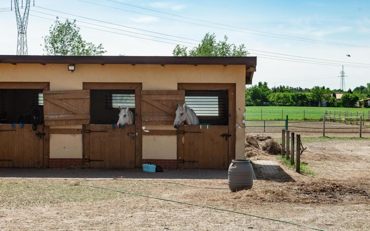 Podkowa Villa Police Buitenkant foto